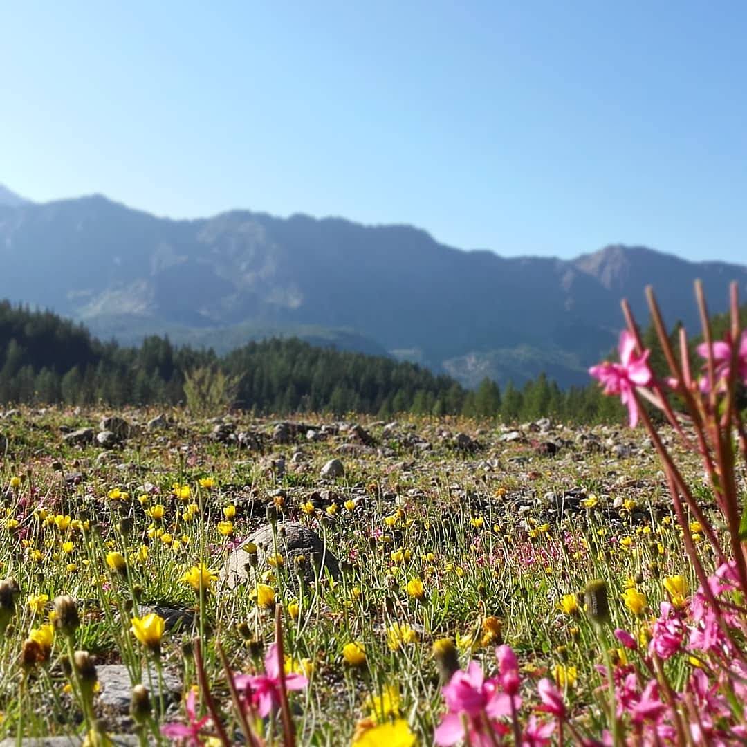 Alta Via della Valmalenco